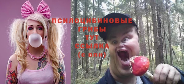 экстази Сатка