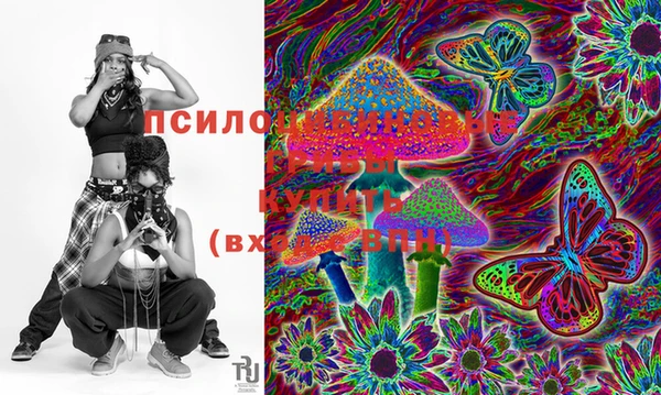 экстази Сатка