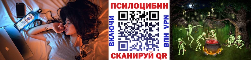 Псилоцибиновые грибы GOLDEN TEACHER Купить Чебаркуль